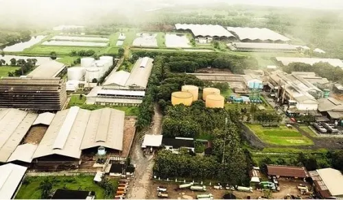 Tender Offer Tuntas! Saham Publik PNGO Tinggal 4,10 Juta Lembar