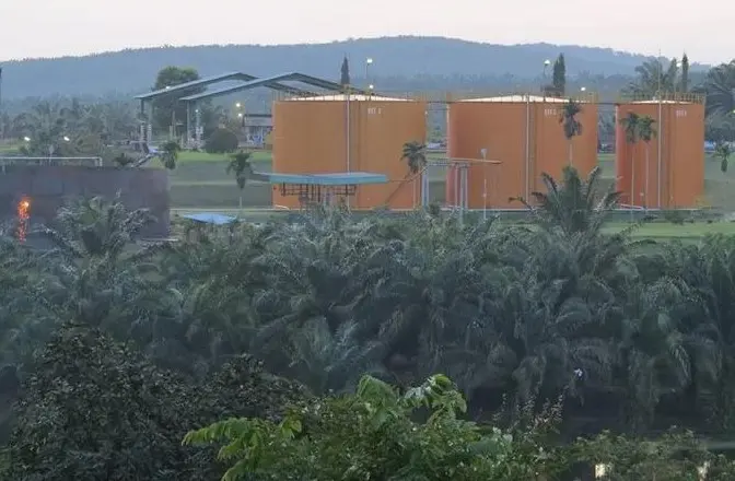 Dirut Emiten TP Rahmat (TAPG) Lego Saham Harga Pasar, Raup Rp1,7M