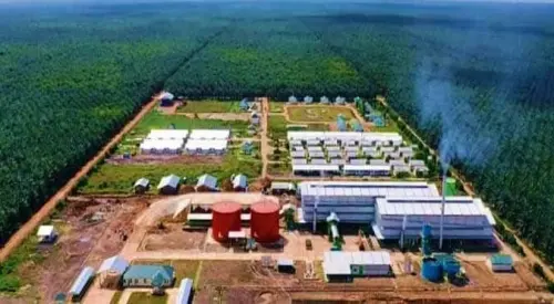 Bos Emiten TP Rachmat (TAPG) Mulai Lepas Saham di Harga Rp1.815, Ada Apa?