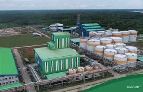 CBUT Ungkap Free Float 19,62%, Abdul Rasyid Sebagai Pemilik Akhir