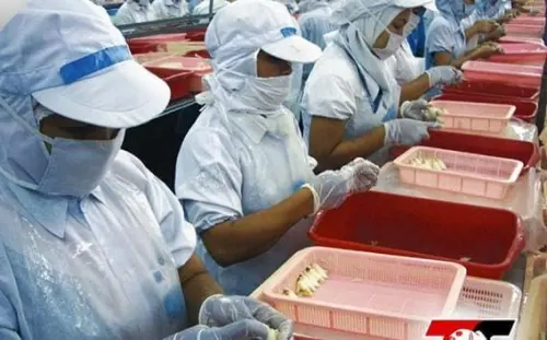 CRAB Akan Proses Mundurnya Gindra Tardy dari Jabatan Direktur Utama