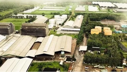 PNGO Tetapkan Pengendali Baru Kempit 99,48% dan Ubah Anggaran Dasar