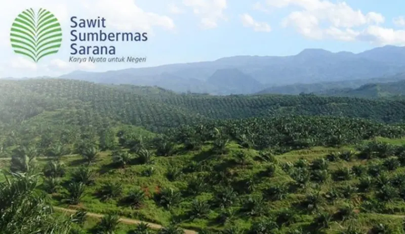 SSMS Ungkap Jery Borneo Putra Pemilik Manfaat Akhir, Free Float 29,16%