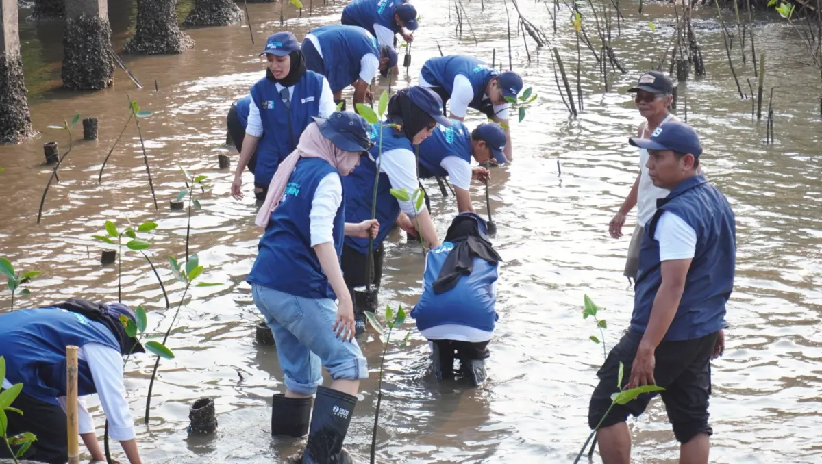 Lanjutkan Pelestarian Pantai Bahak, SIG Ajak 10 Relawan Perkuat Ekosistem Pesisir!