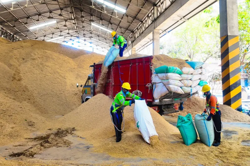 Dari Limbah Jadi Energi, SIG Pabrik Tuban Gunakan 400 Ton Sekam Padi per Hari
