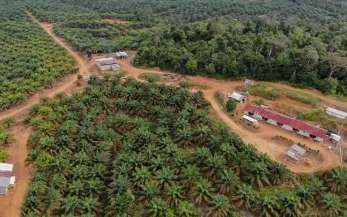 CSRA Bagi Dividen Interim Rp30,75M, Telisik Jadwalnya