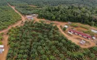 CSRA Bagi Dividen Interim Rp30,75M, Telisik Jadwalnya