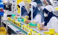 SIDO Guyur Dividen Interim Rp300M, Catat Tanggalnya!