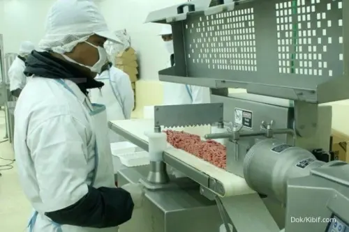 BEEF Semester I-2026 Tertekan! Laba Anjlok 69,7%, Penjualan Drop 31%