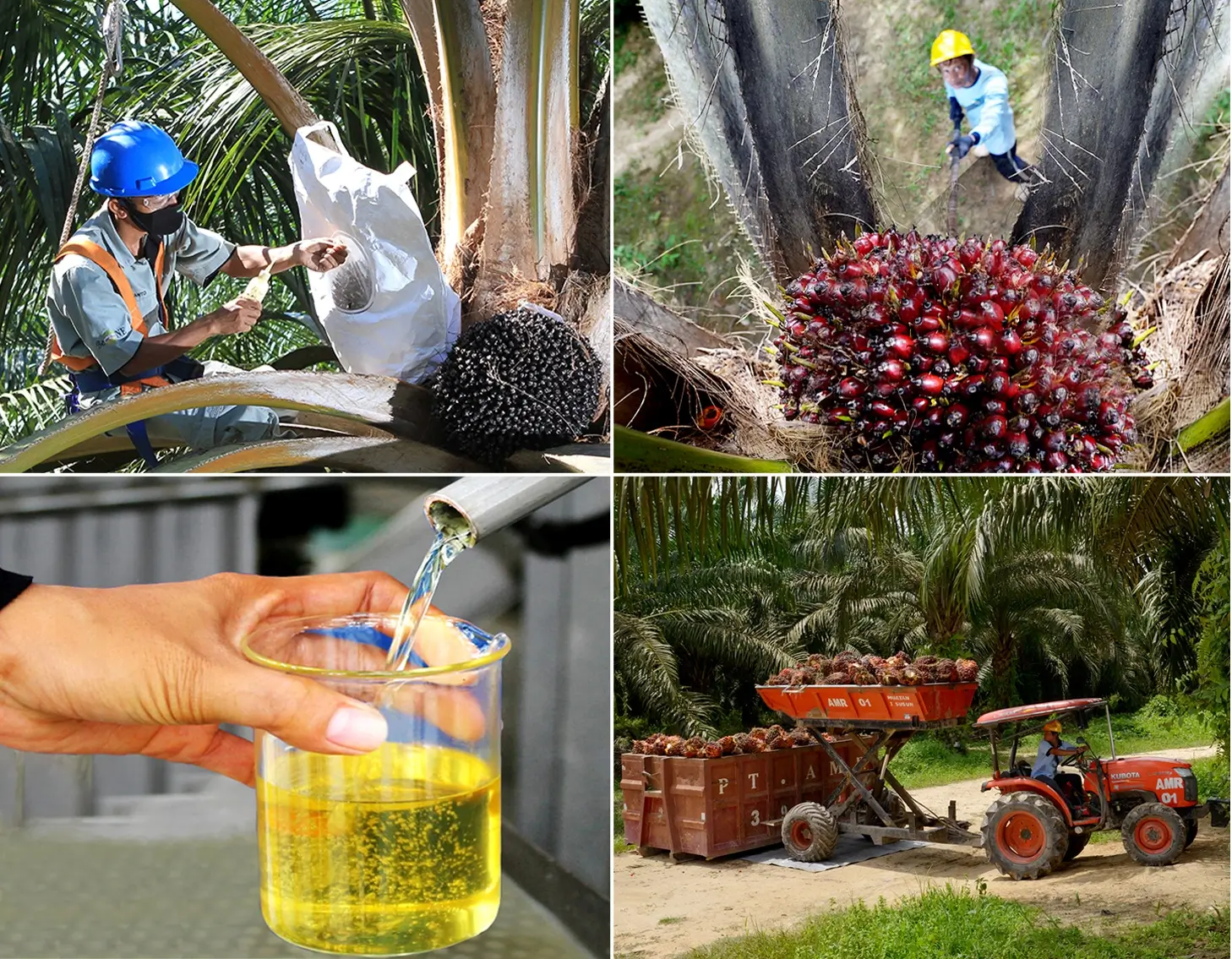 Grup Astra (AALI) Klarifikasi Kena Denda Satgas Hutan Rp571M