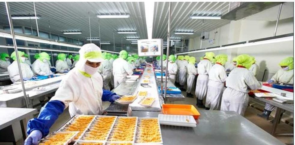 Emiten Kaesang Pangarep (PMMP) Ungkap Jual Aset di Atas Nilai Appraisal
