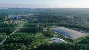 BWPT Jual Aset Perkebunan Milik Anak Usaha Rp296M, Ini Alasannya