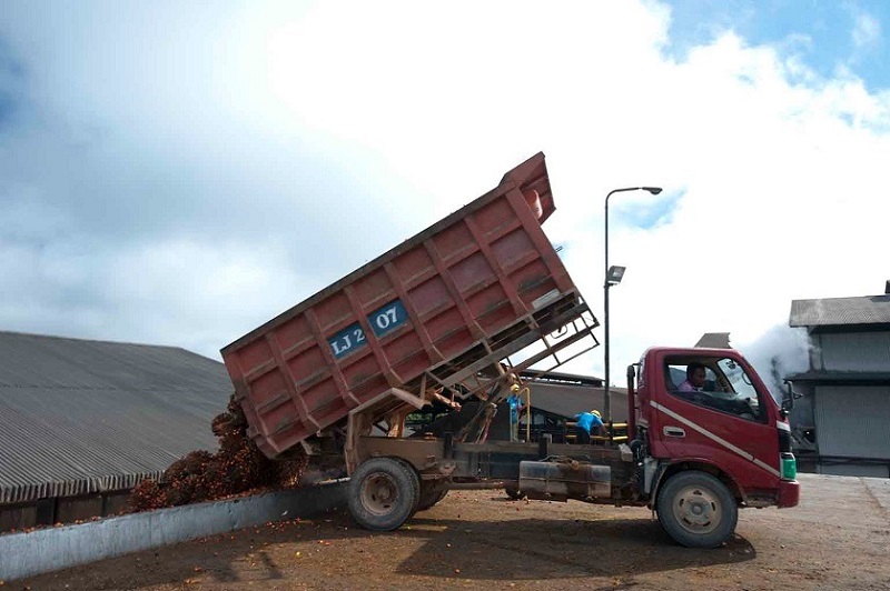Emiten TP Rachmat (DSNG) Raup Laba Rp985,88 Miliar, Naik 7,8% di Semester I-2026