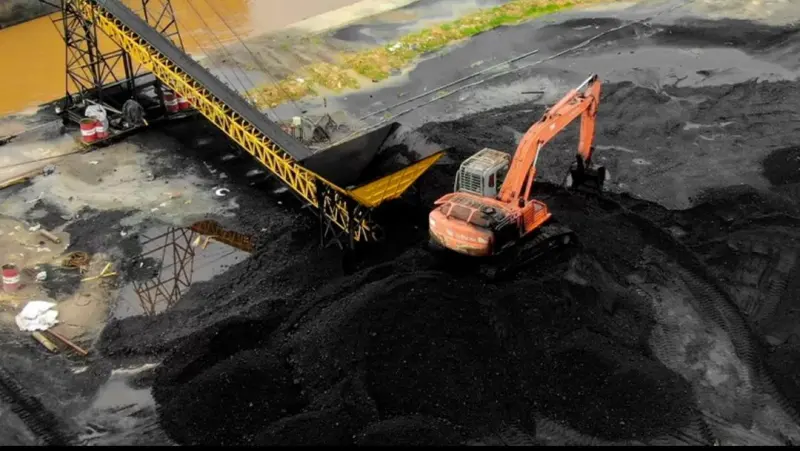 COAL Dirikan Bisnis Pelayaran Logistik
