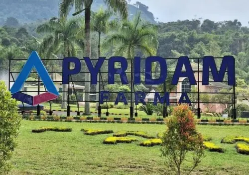 PYFA Boncos! Rugi Bengkak Jadi Rp379M di 2025