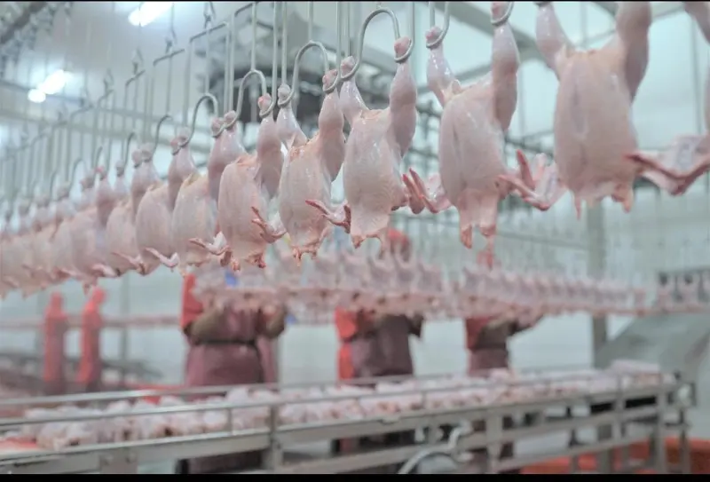 WMUU Raih Restu Rights Issue Jumbo &amp; Utang Rp405 M Dikonversi!