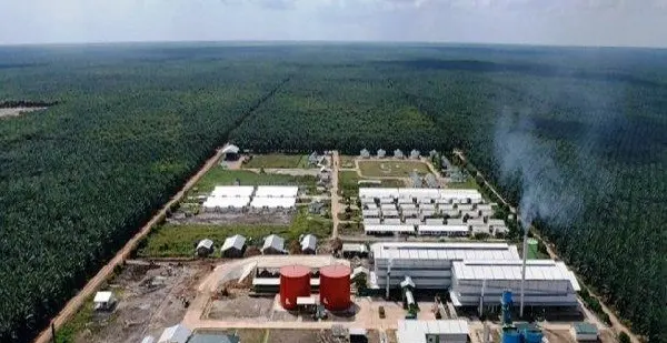 Dirut Emiten Sawit TP Rachmat (TAPG) Serok Saham Harga Atas
