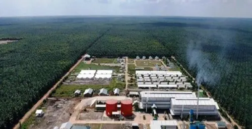 Dirut Emiten TP Rachmat (TAPG) Belanja Saham Lagi Harga Rp1.480
