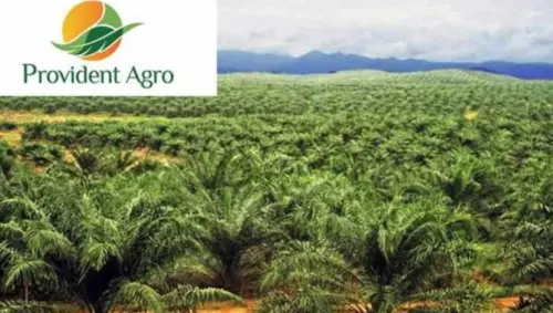PALM Tawarkan Obligasi Rp500M, Kupon Hingga 9,3%! Ini Jadwalnya