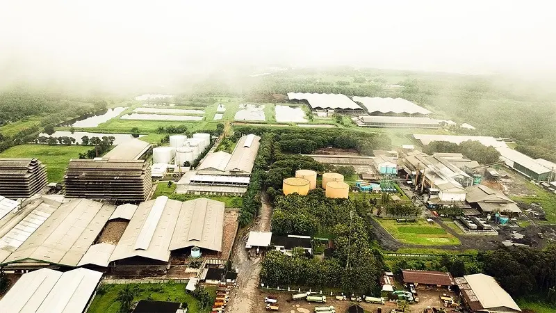 PNGO Ungkap Pengendali Baru Asal Hong Kong Kuasai 98% Saham