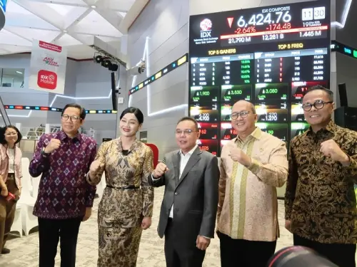 Rosan Ungkap Saham Bank RI Murah, PBV di Bawah 1 Kali