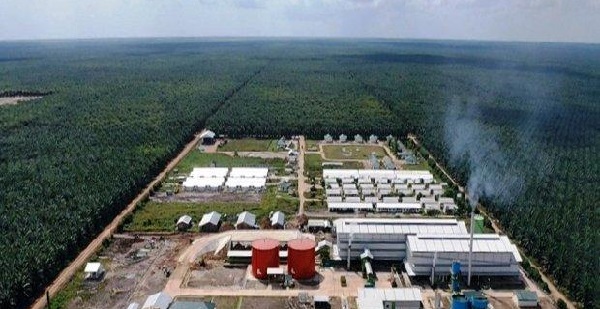 Dirut Emiten Perkebunan Milik TP Rachmat (TAPG) Tampung Saham Harga Bawah
