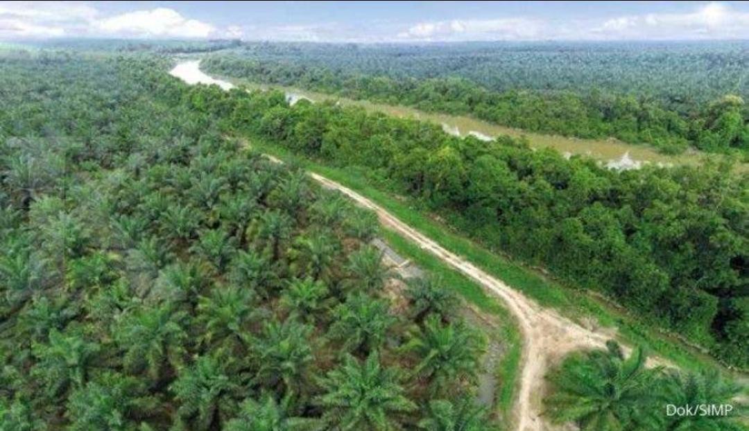 Lo Kheng Hong Borong 19,9 Juta Saham Grup Salim (SIMP) Rp11,94M