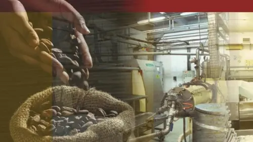 BEI Ingatkan COCO-R Hanya Diperdagangkan Sampai 21 Juli 2026