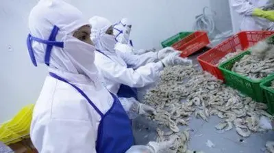 IKAN Setujui Penggunaan Laba 2025, Tapi Bukan Untuk Dividen