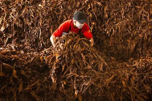 ITIC Tahan Seluruh Laba 2025 Rp20,33M, Tidak Ada Dividen!