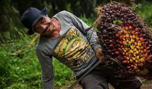 Mosfly Ang Belanja Saham STAA Harga Rp985 per Lembar
