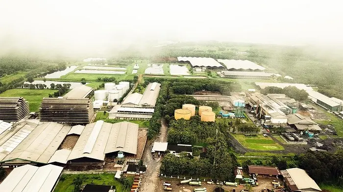 PNGO Tetapkan Dividen Final Nihil, Interim Rp171,88M Jadi Dividen 2025