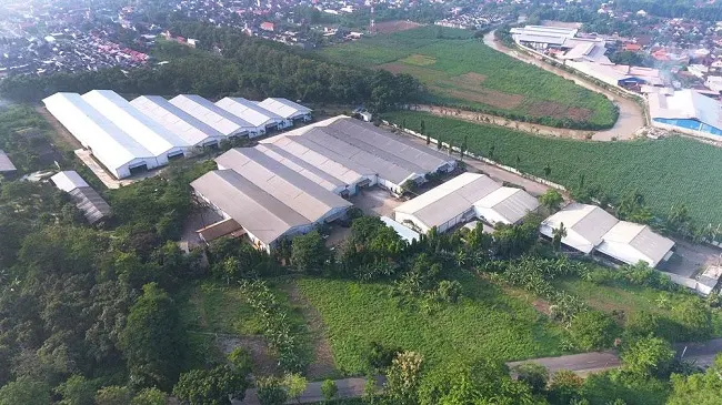 Saraswanti Anugerah (SAMF) Setujui Dividen Rp107,6M, Catat Jadwalnya!