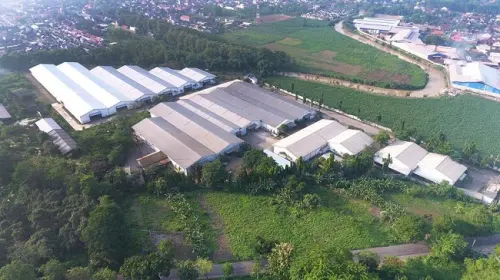 Saraswanti Anugerah (SAMF) Setujui Dividen Rp107,6M, Catat Jadwalnya!