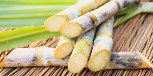 GULA Sebut Dana IPO Tinggal Rp1,2M di BCA Tanpa Bunga