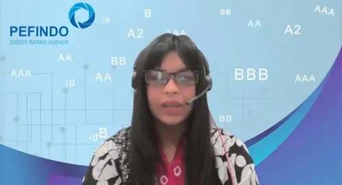 Pefindo Catat Penerbitan Surat Utang Korporasi Rp87,35T di Semester I