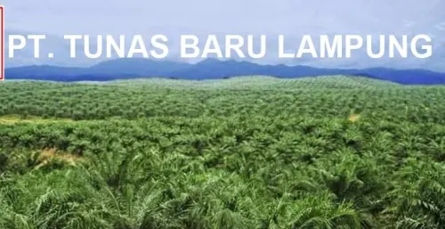 TBLA Catat Pendapatan Naik 10%, Tapi Laba Tergerus 3% di Semester I-2026