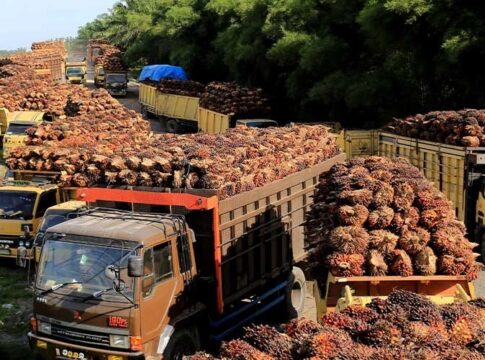 Salah satu anak usaha PT Gozco Plantations Tbk (GZCO), yakni PT Suryabumi Agrolanggeng (SA), resmi memperoleh pinjaman jumbo senilai Rp200 miliar pada 23 Desember 2025. Sumber dana pinjaman