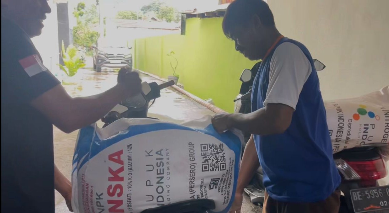 Detik-Detik Pergantian Tahun, Pupuk Bersubsidi Langsung Ludes Ditebus Petani