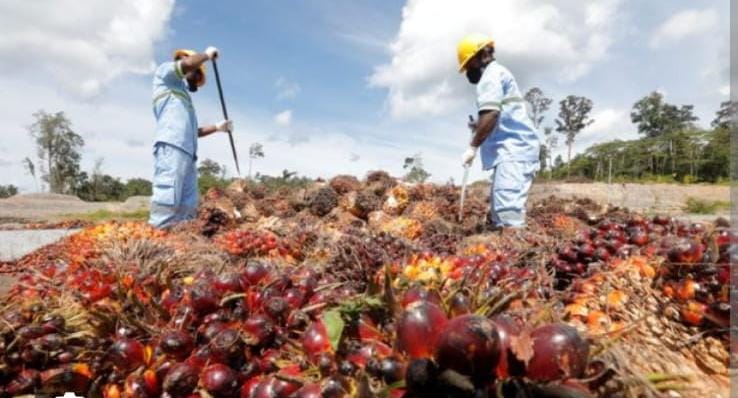 BEI Sorot ANJT, Utang BRI Rp4,8T &amp; 3 Anak Usaha Ditutup