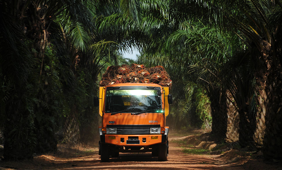 ANJT Hentikan Operasional Tiga Entitas Anak, Ini Alasannya