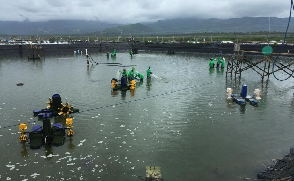 Besok! Pengendali Baru AMMS Gelar Tender Offer Harga Rp156