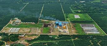 Pengendali PSGO Lepas 300 Juta Saham Harga Bawah, Ada Apa?