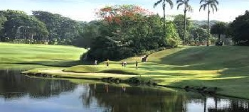 DMIG Putuskan Bagi Dividen 50% Laba 2025