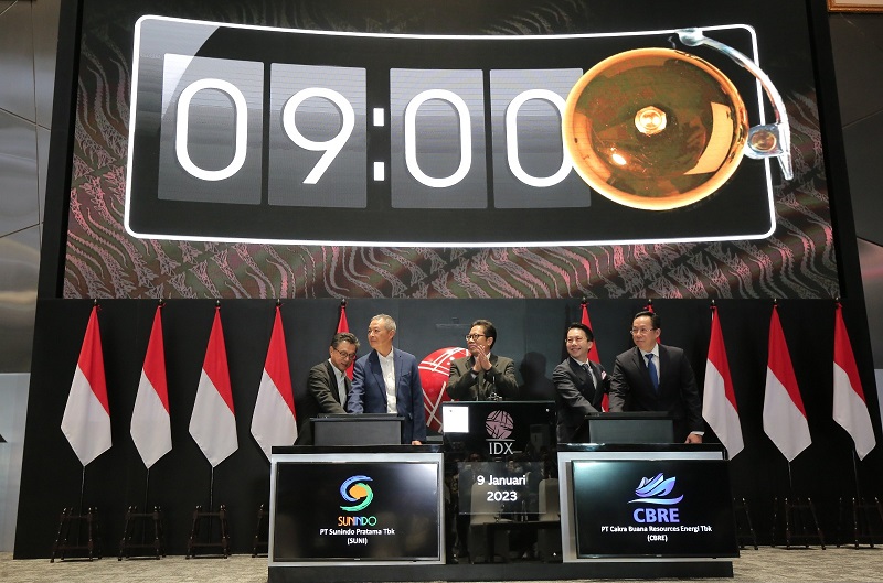 SUNI Kuartal I-2026, Revenue Drop 50%, Laba Ambruk 72,4%