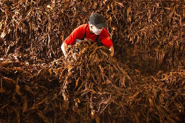 ITIC Tahan Seluruh Laba 2025 Rp20,33M, Tidak Ada Dividen!