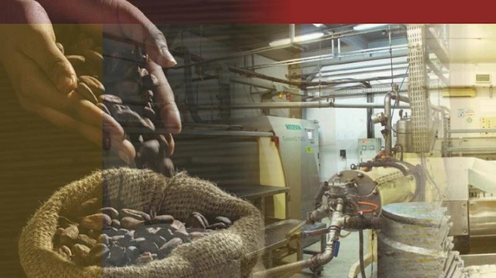 COCO Tak Sisihkan Dividen, Laba Ditahan Perkuat Bisnis